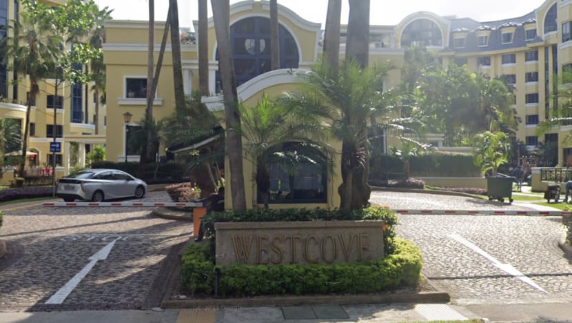 Man dies after falling 20m from condominium roof in West Coast, third workplace death in about a week Man dies after falling 20m from condominium roof in West Coast, third workplace death in about a week