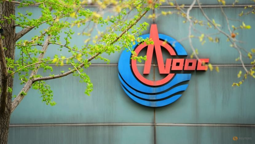 China CNOOC's 2024 net profit rises 11% on record output China CNOOC's 2024 net profit rises 11% on record output