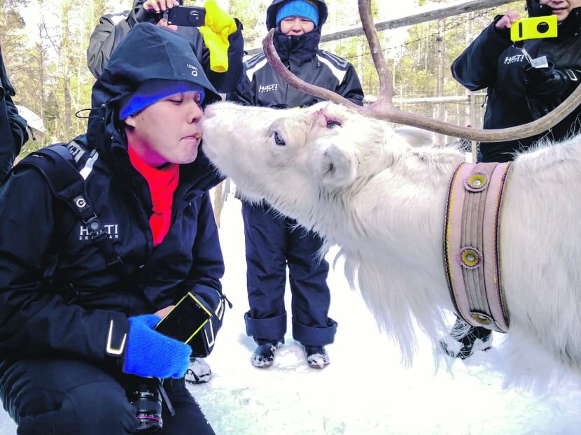 Lapland and the Northern Lights