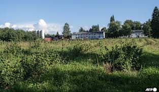 Finland jails businessman for trafficking Thai berry workers