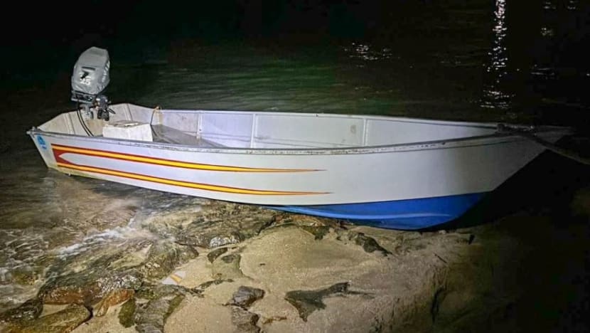 Two Indonesians arrested for illegally entering Singapore by sea Two Indonesians arrested for illegally entering Singapore by sea