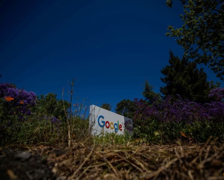Exclusive-Google deal makes Amazon reforestation its top source of carbon removal credits