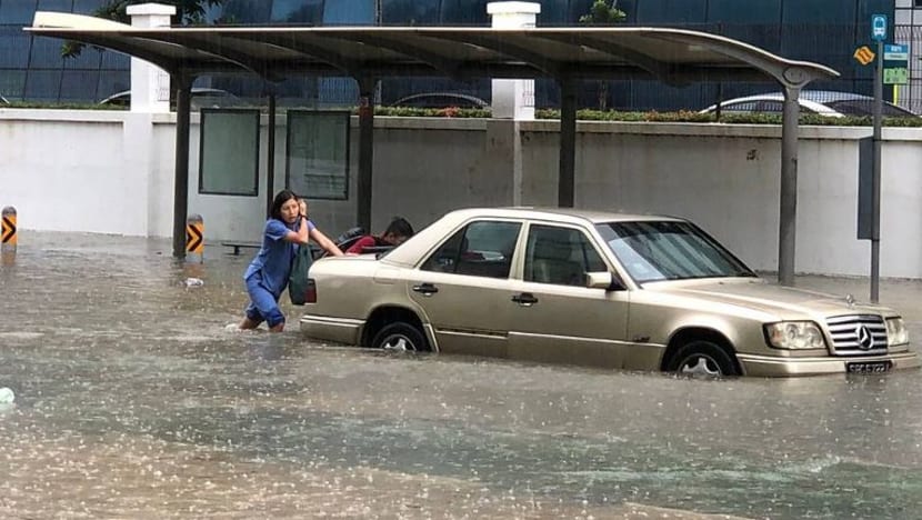 Gambar Pilihan Hari ini