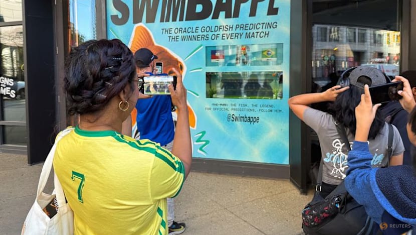Goldfish Swimbappe's World Cup predictions make a splash in Toronto