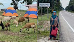 Related article image