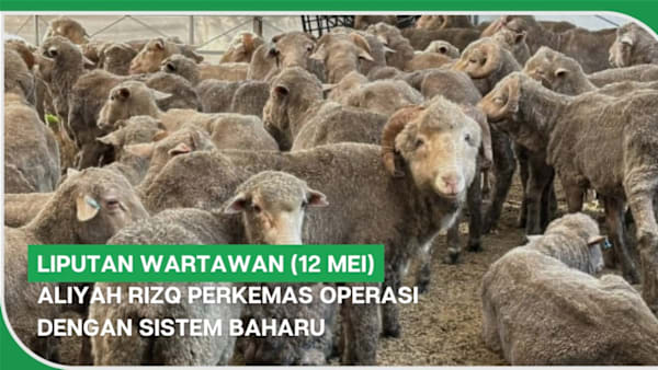 LIPUTAN WARTAWAN (12 Mei) | Aliyah Rizq perkemas operasi dengan sistem baharu