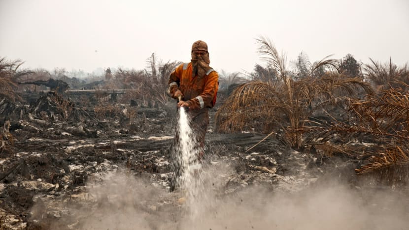 Indonesia open to help from any country, including Singapore: VP Jusuf Kalla