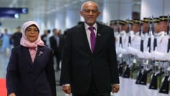 Related article image