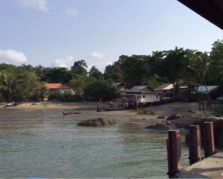 Pulau Ubin resident charged with failing to take dog to vet, asks judge to understand village life