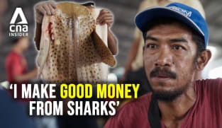 Rewilding Sharks - Inside the lucrative trade of shark fishing in Indonesia