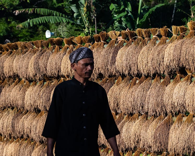 A sacred tradition - why this Indonesian community stockpiles rice to last nearly 100 years