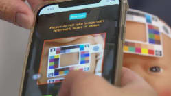Related article image