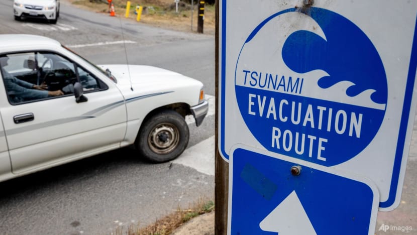 Millions return home as Pacific tsunami warnings lifted Millions return home as Pacific tsunami warnings lifted