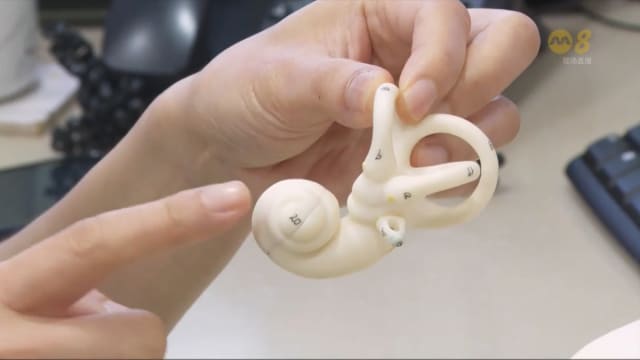理解问答：医生建议戴降噪耳塞听演唱会以保护听力