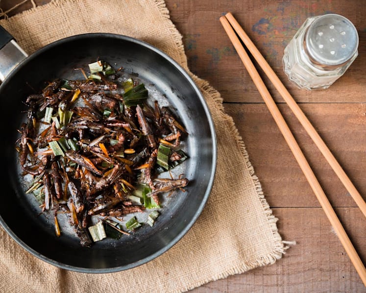 FAQ: Craving nasi lemak topped with crickets? What you need to know about eating insects