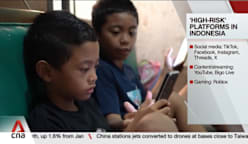 Indonesia's social media ban for children under 16 to kick in on Saturday
