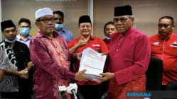 Related article image