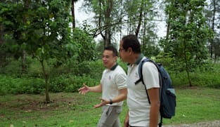 Saving Our Green Lungs - Growing Carbon Sinks