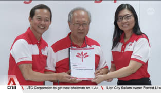 GE2025: Opposition manifestos lay out plans to tackle key issues confronting Singapore