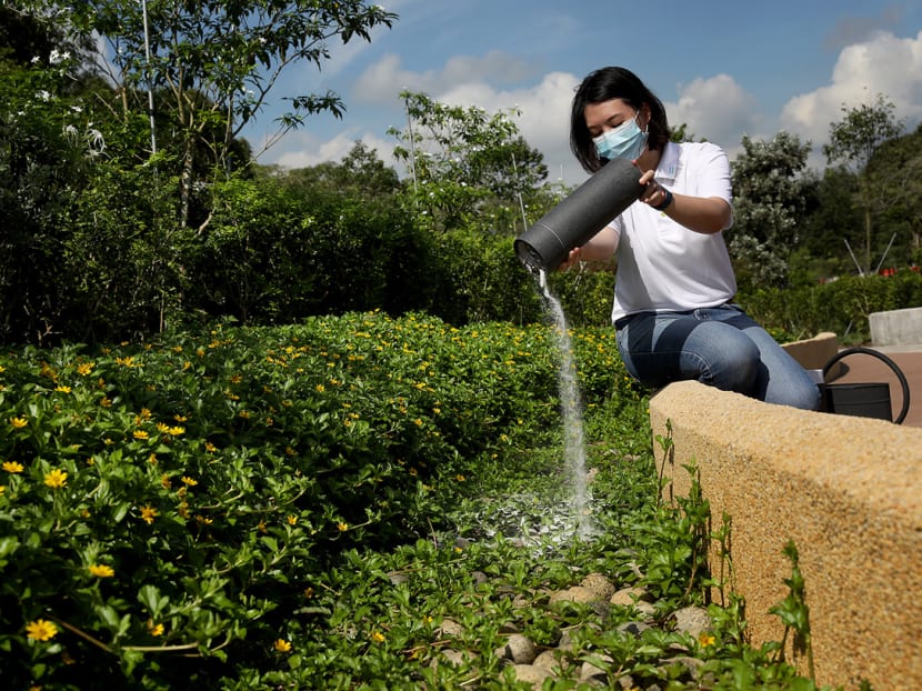 The Garden of Peace at Choa Chu Kang Cemetery has four demarcated ash scattering lanes that have been designed to provide privacy.