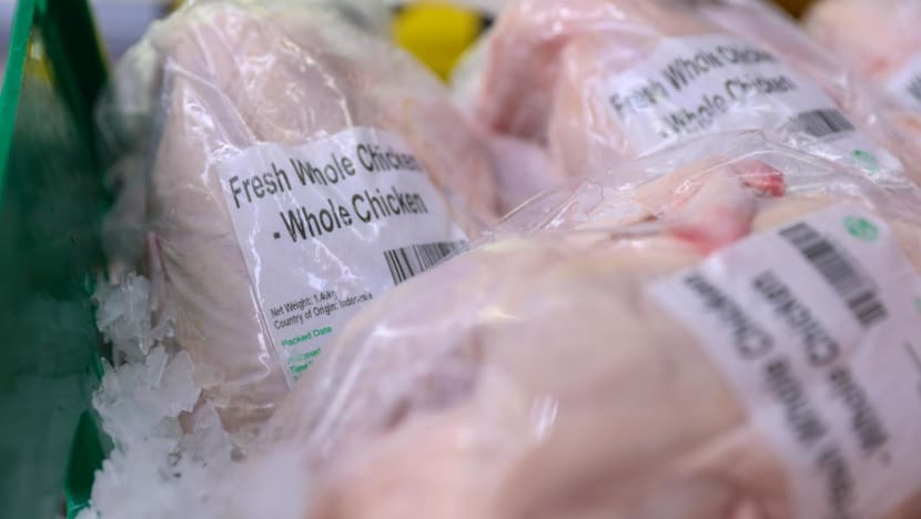 Singapore approves live chicken imports from Indonesian farm; first shipment arrives Singapore approves live chicken imports from Indonesian farm; first shipment arrives