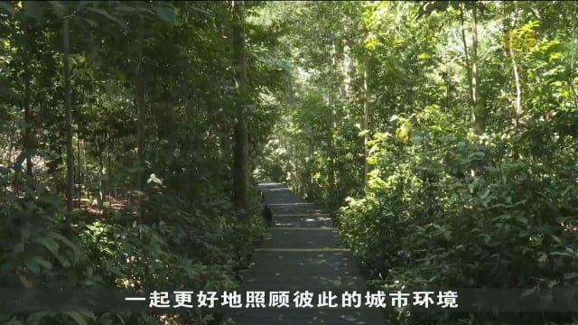 公园局将联手园林协会 制定我国首个树木管理国家标准