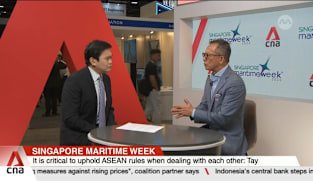 People will look to Southeast Asia as Trump exerts pressure on China: Simon Tay