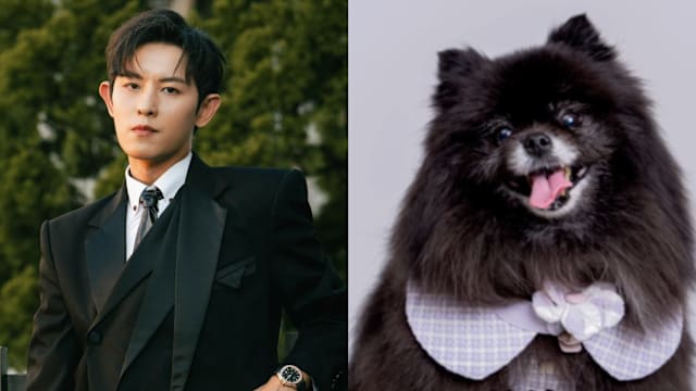 “愿用生命换你多活5年”！敖犬痛失爱狗流泪不止