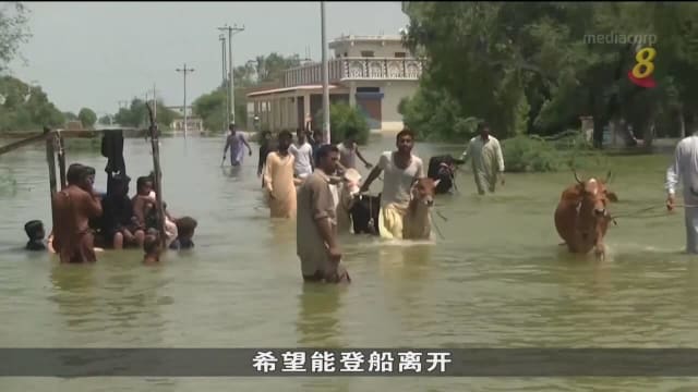 巴基斯坦季风洪灾持续 死亡人数至少1325人