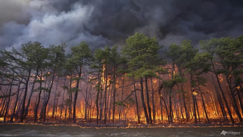 New Jersey wildfire could become state's largest in nearly 20 years
