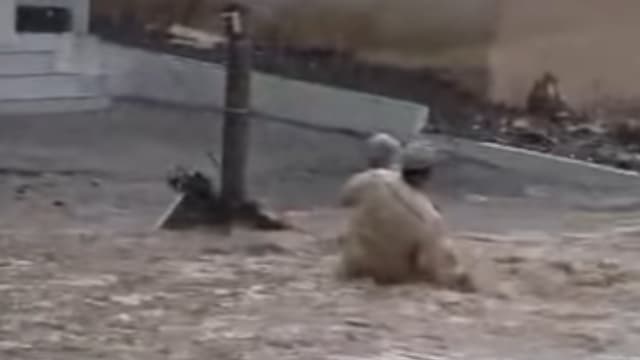 小猫险被洪水冲走 男子跑入洪流“英雄救猫”