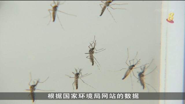 本地上周新增1323起骨痛热症病例 活跃区增至300个