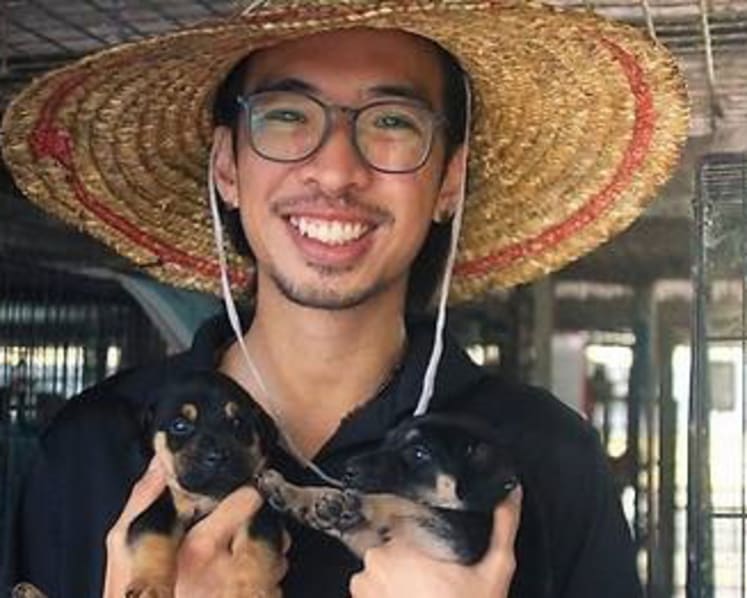 Animal shelter volunteer fined for harassing wrong driver after dog was run over