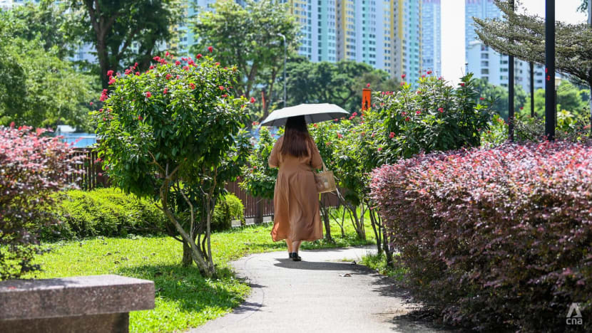 Temperature soars to 37°C in Singapore, equals record for daily high set in 1983 Temperature soars to 37°C in Singapore, equals record for daily high set in 1983