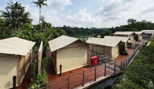 Mandai Wildlife Reserve launches Colugo Camp, a luxury camping space with buffets and guided tours 