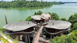 Related article image