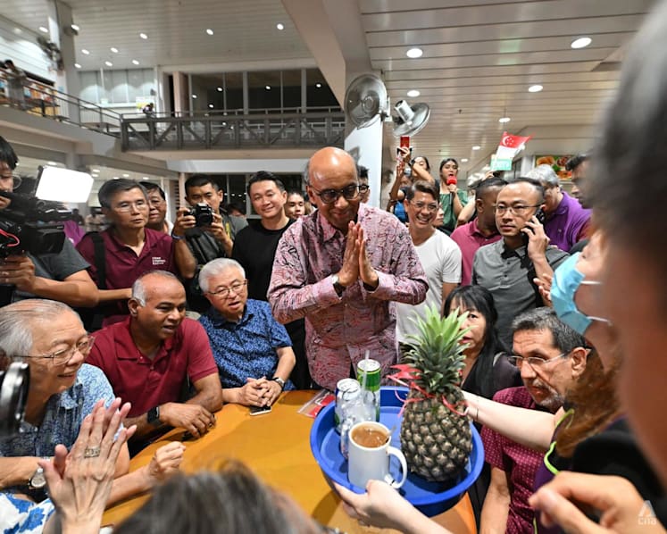 Commentary: How the pineapple became a secret weapon in the Presidential Election