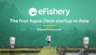 Indonesia arrests eFishery start-up founder over alleged fraud