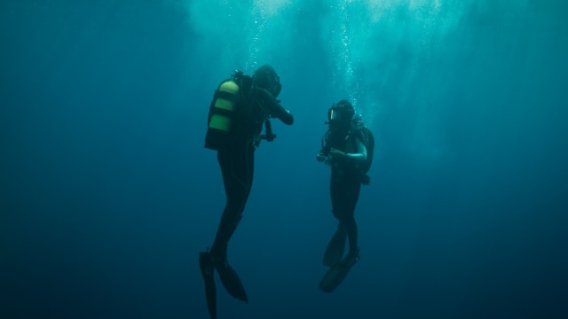 新片上映：The Dive
