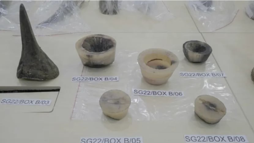 Lelaki didakwa di mahkamah bawa masuk 34kg tanduk badak sumbu ke S'pura dari Afrika Selatan