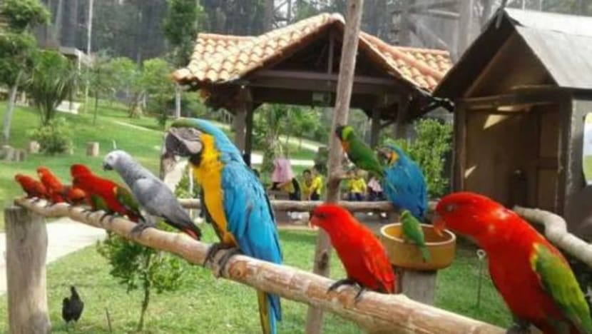 Taman Burung Melaka dibuka semula pada Mac 2024 Taman Burung Melaka dibuka semula pada Mac 2024