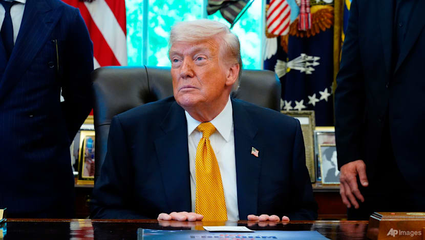 US trade court rules against Trump's global 10% tariff