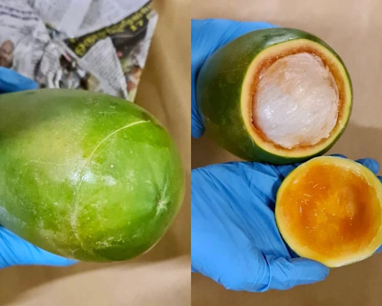 Drugs hidden in papaya: 5 Singaporeans, 3 Malaysians arrested in islandwide CNB raids