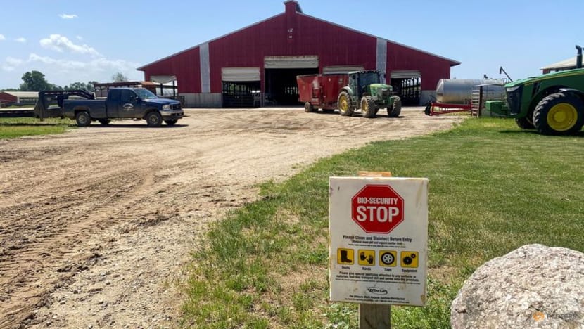 US farmers call for vaccine option to fight bird flu as wildfowl migration begins