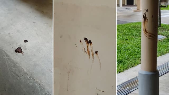 淡滨尼组屋有人“发粪涂墙” 居民：超恶心！