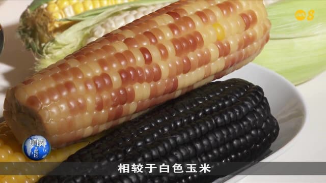 狮城有约 | 生活小学堂：不同品种玉蜀黍 营养不同？