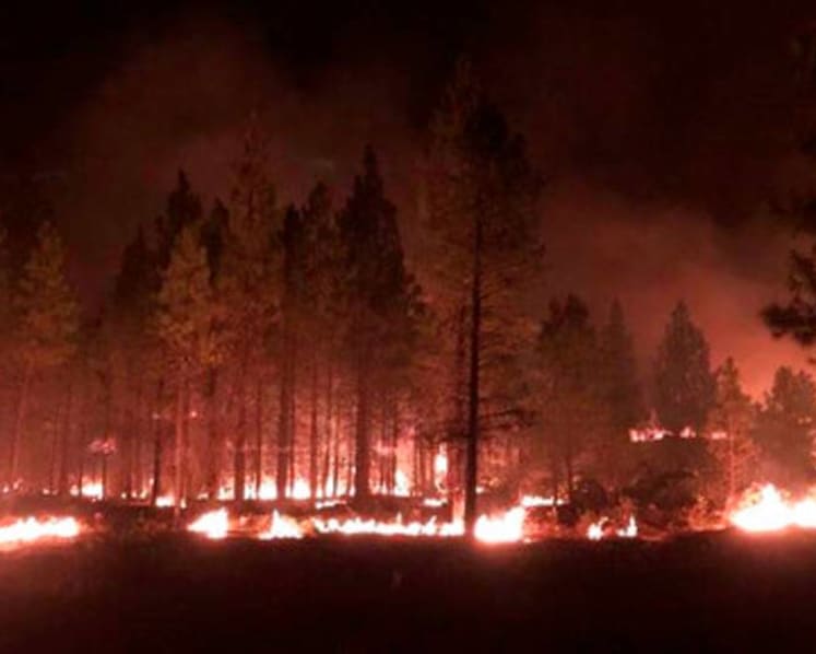 Erratic Oregon wildfire expands, destroys dozens of homes
