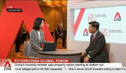 Must wait and see how China's stimulus measures will be implemented: Business China