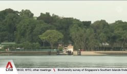 Singapore's Southern Islands are home to plants and animals not found anywhere else in the country, survey finds