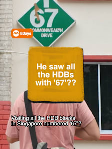 now you know what to talk about with the kids at christmas dinner later #8dayssg #8dayssgtrending #67 #sgfyp #sgtiktok 